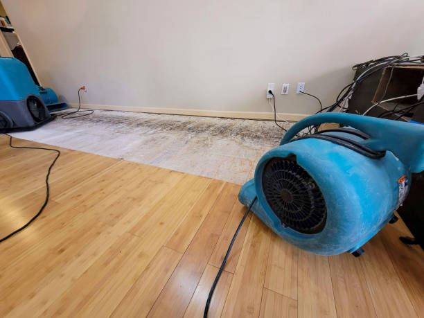 Professional Water Damage Repair technician working in Hockessin, DE
